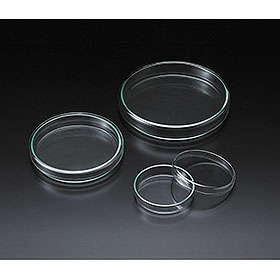 �V���[��